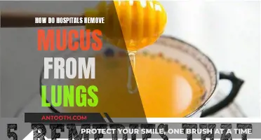 Hospitals' Techniques for Mucus Clearance from Lungs