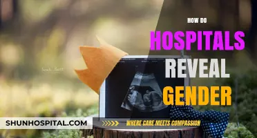 Unveiling Gender: Hospital Practices and Protocols for Gender Disclosure