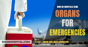 Hospitals' Emergency Organ Transport: A Quick Guide