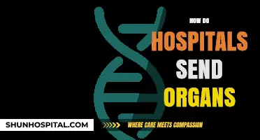 Organ Transportation: How Hospitals Safely Deliver Life-Saving Transplants