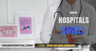 Unveiling the Unique Aroma: What Causes Hospital Smells?