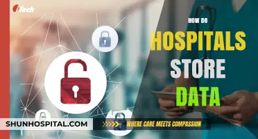 Secure Data Storage in Hospitals: Methods, Challenges, and Best Practices