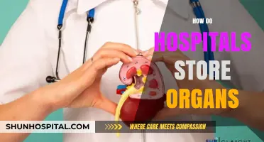 Organ Preservation: How Hospitals Safely Store Organs for Transplants