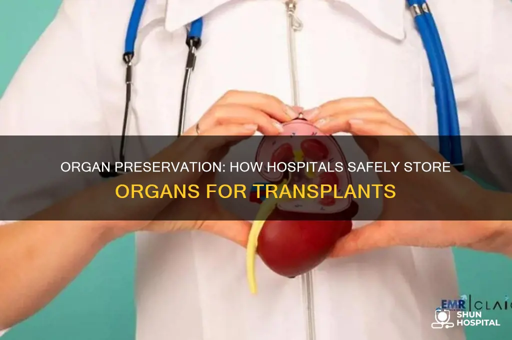 how do hospitals store organs