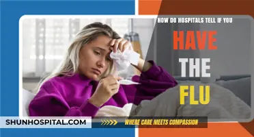 Diagnosing the Flu: Hospital Methods for Accurate Detection and Treatment