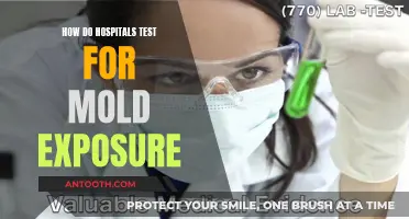 Mold Exposure: Testing Methods Hospitals Employ