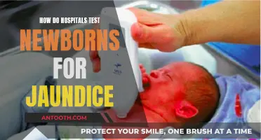 Jaundice in Newborns: Hospital Testing Methods and Procedures