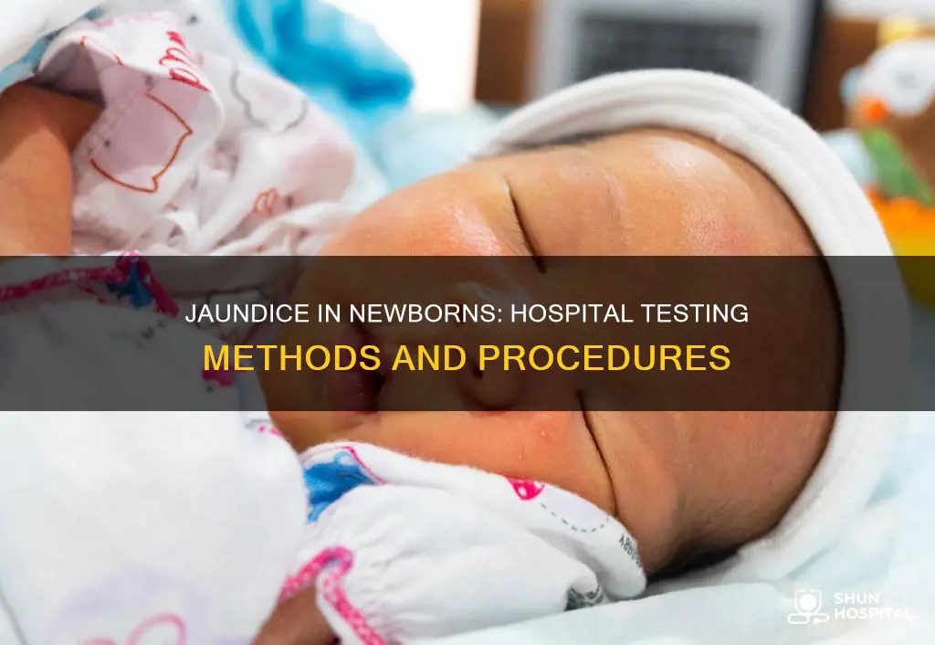how do hospitals test newborns for jaundice