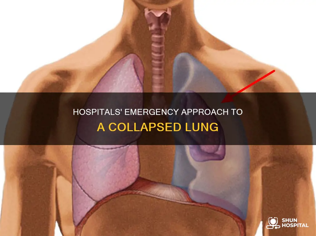 how do hospitals treat a collapsed lung