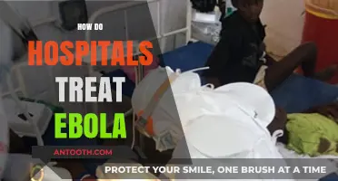 Ebola Treatment in Hospitals: Protocols, Isolation, and Patient Care Strategies