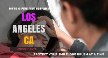 Treating High Fevers in Los Angeles: Hospital Protocols and Care