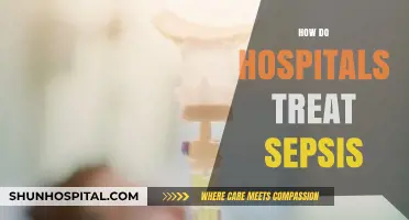 Sepsis Treatment in Hospitals: Rapid Diagnosis, Antibiotics, and Critical Care