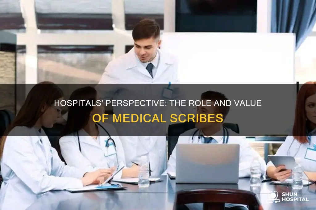 how do hospitals view scribes