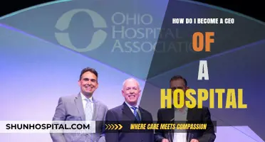 Steps to Becoming a Hospital CEO: Leadership and Career Path