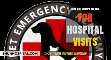 Certifying Your Dog for Hospital Visits: A Step-by-Step Guide