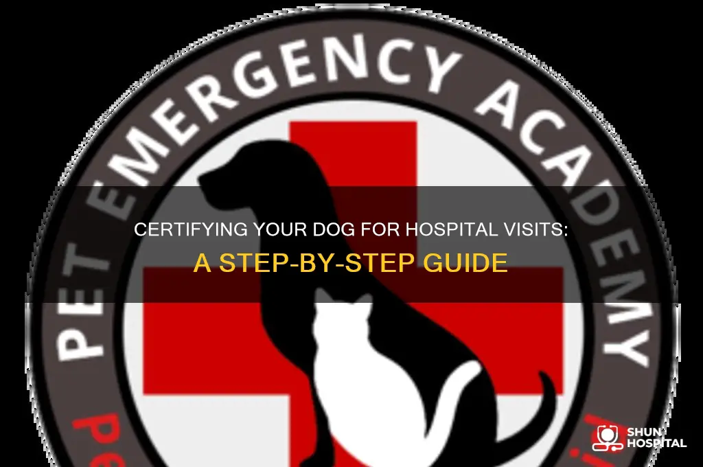 how do i certify my dog for hospital visits