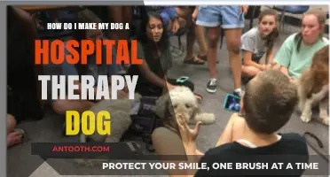 Transform Your Dog into a Hospital Therapy Companion: A Guide