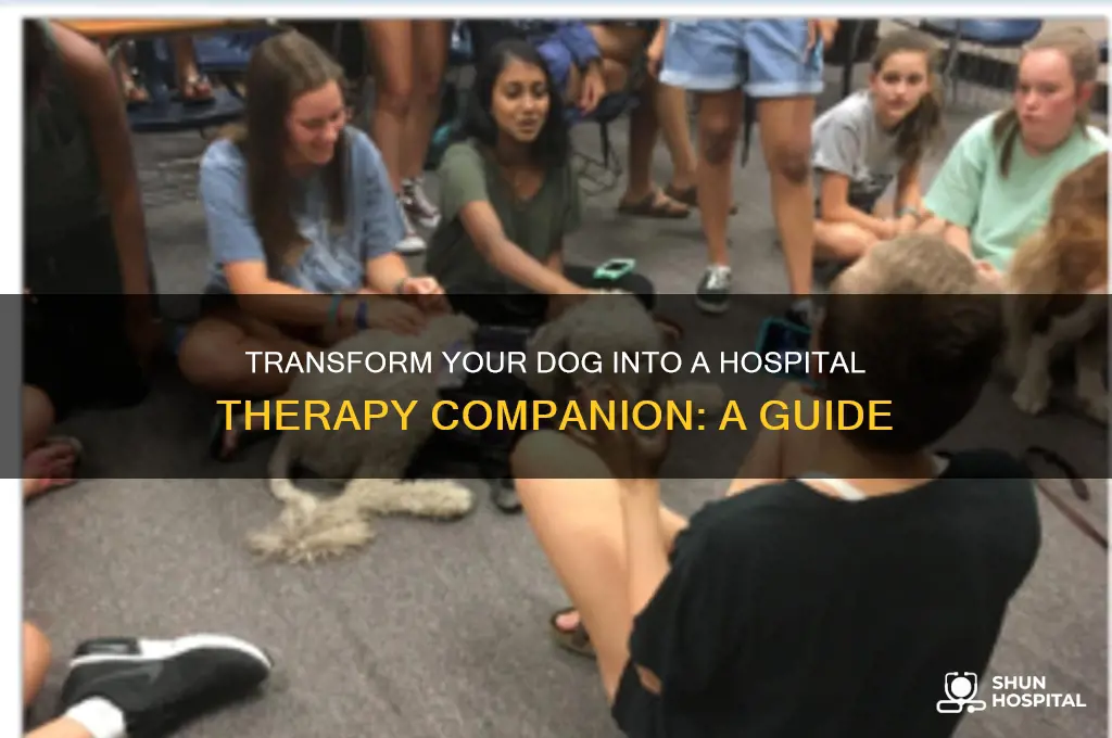 how do i make my dog a hospital therapy dog