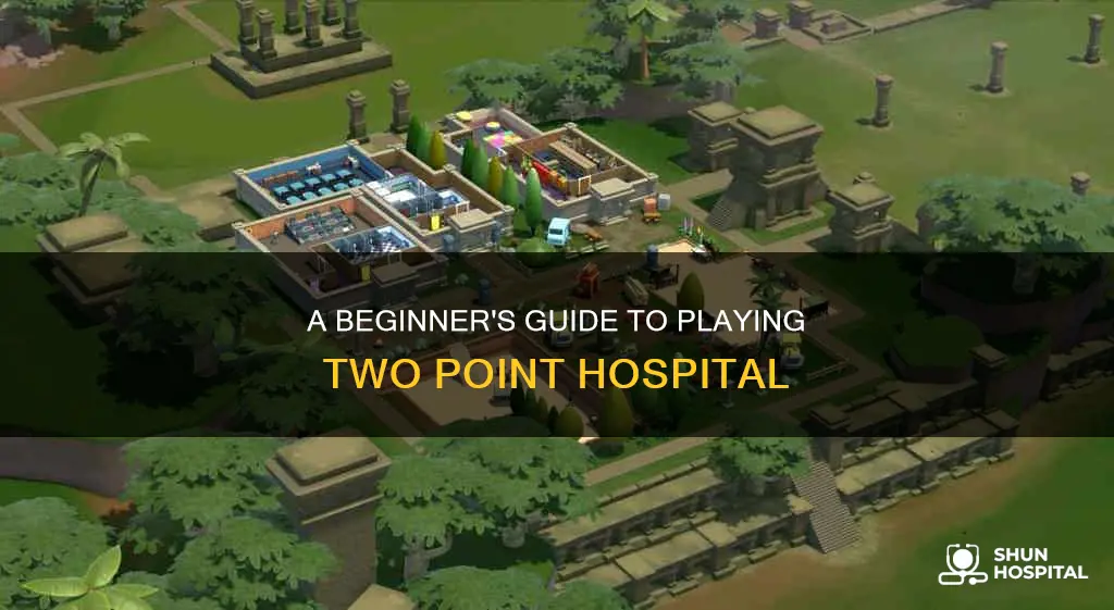how do i play two point hospital