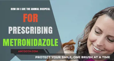 Suing an Animal Hospital: Metronidazole Prescription Legal Recourse Guide