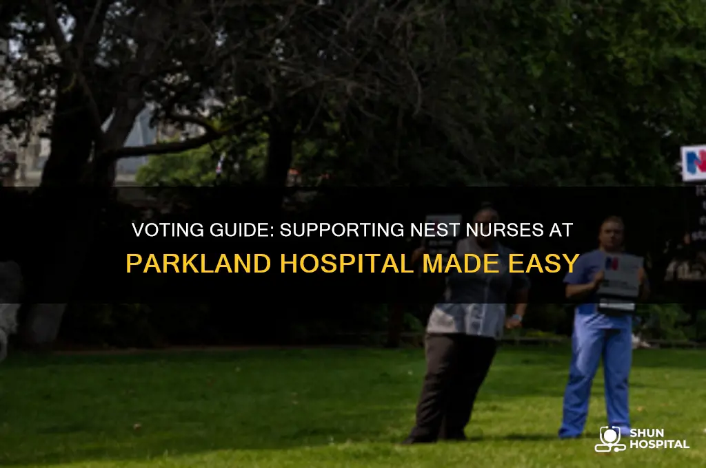 how do i vote for nest nurses at parkland hospital