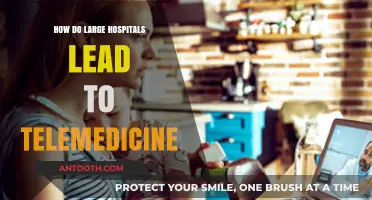 Large Hospitals: Embracing Telemedicine's Future