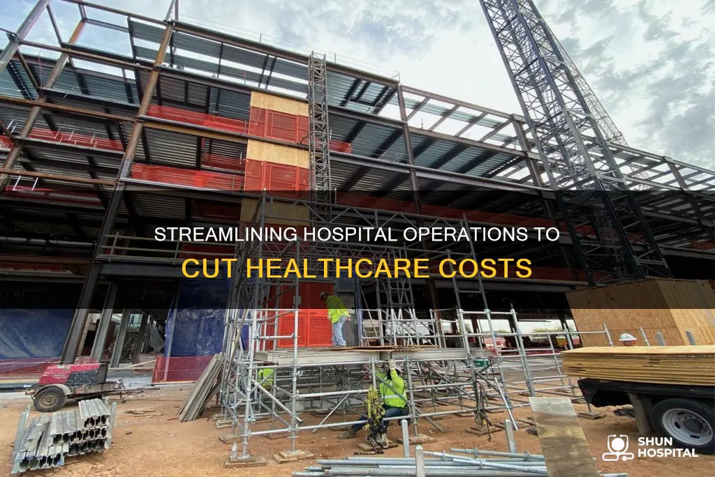 how do large hospitals reduce healthcare costs