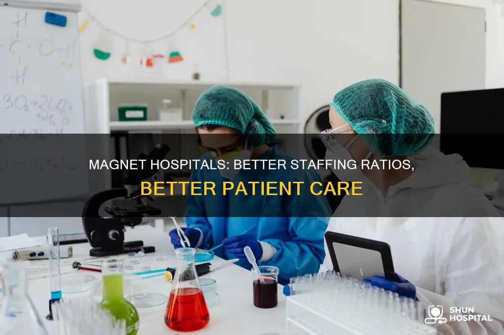 how do magnet hospitals provide better ratios