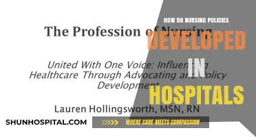 Nursing Policies: Hospital Development and Implementation
