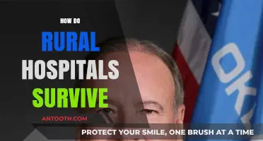 Rural Hospitals' Resilience: Strategies for Survival in Challenging Times