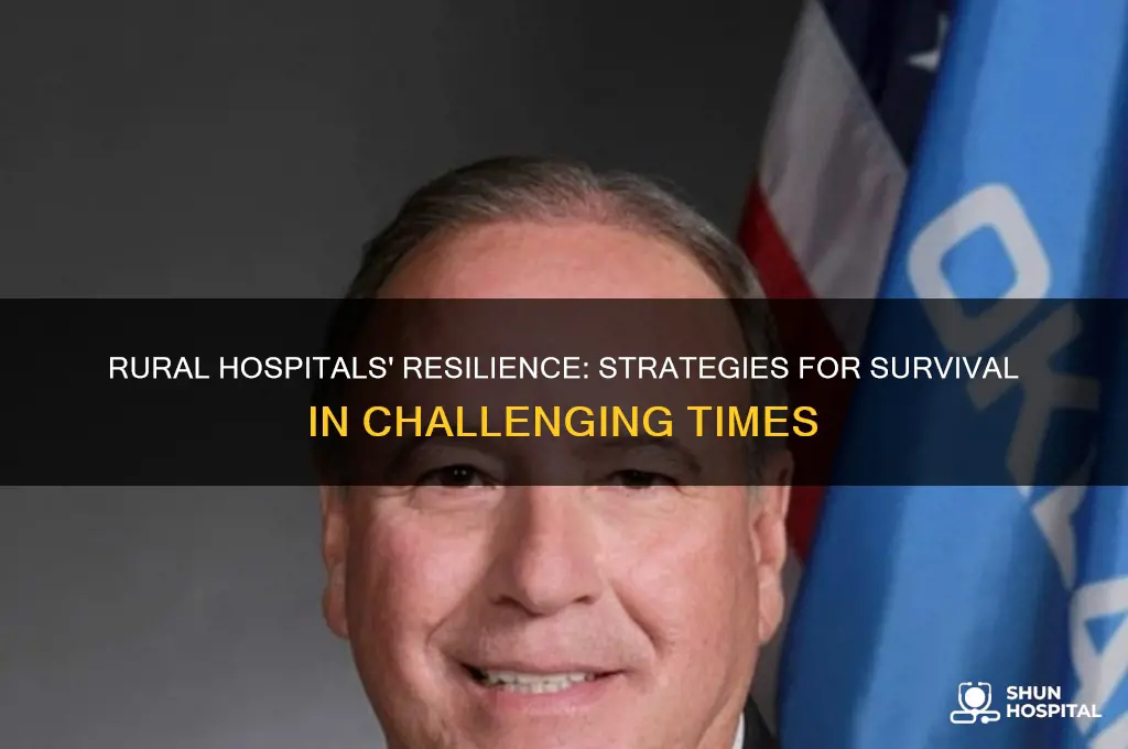 how do rural hospitals survive