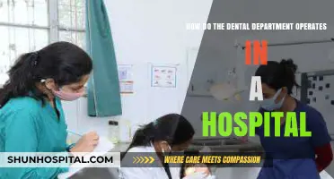 Understanding the Inner Workings of a Hospital's Dental Department Operations