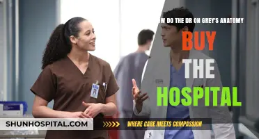 Grey's Anatomy Hospital Takeover: How the Doctors Bought the Hospital