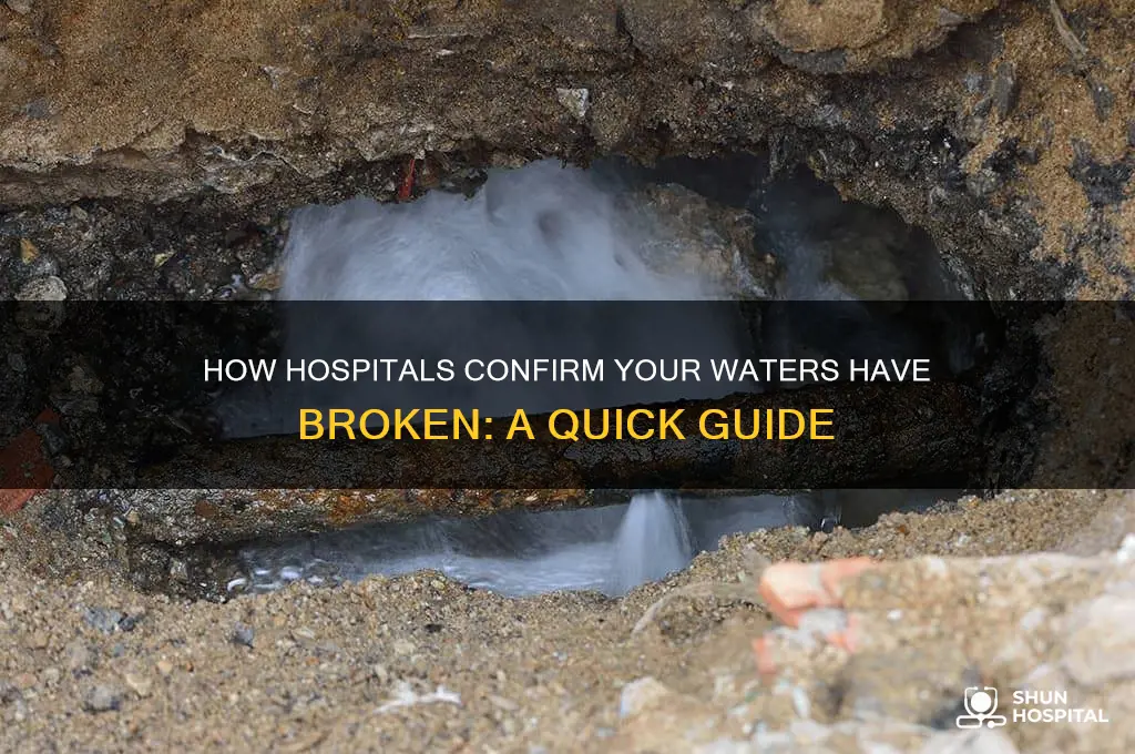 how do the hospital check if your waters have broken