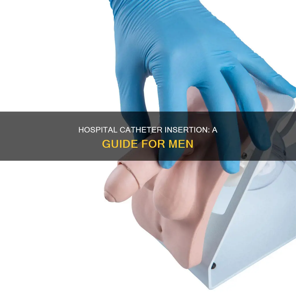 how do the hospital insert male catheter
