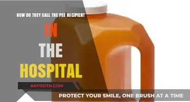 Understanding Hospital Terminology: What’s the Name for the Pee Recipient?
