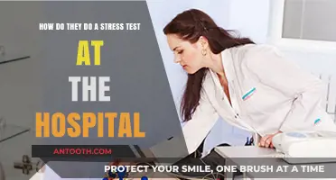 Understanding Hospital Stress Tests: Procedures, Preparation, and What to Expect