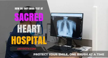 Sacred Heart Hospital's Drug Testing Procedures: What You Need to Know