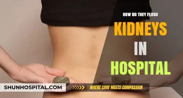 Flushing Kidneys: Hospital Procedure Explained