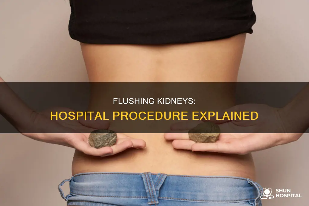 how do they flush kidneys in hospital