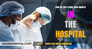 Understanding Kidney Flushing: Hospital Procedures for Cleansing Your Kidneys