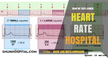 Calm Your Heart: Hospital Methods to Lower Heart Rate