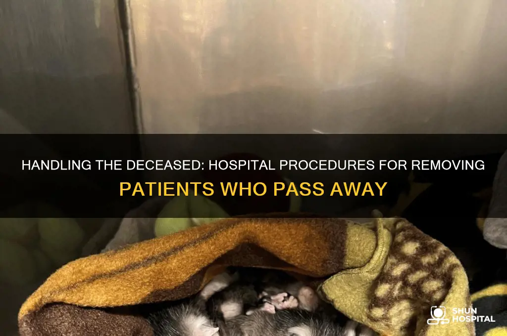 how do they rake dead people out of the hospital