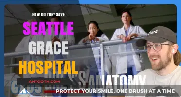Seattle Grace Hospital: Revival and Resilience