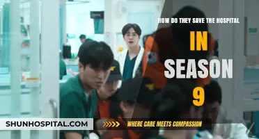 Saving Seattle Grace: Unraveling Season 9's Hospital Rescue Plan
