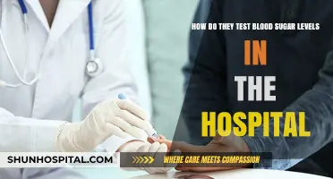 Hospital Blood Sugar Testing: Methods and Procedures Explained