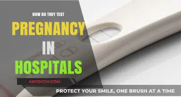 Pregnancy Testing: Hospital Methods Explained