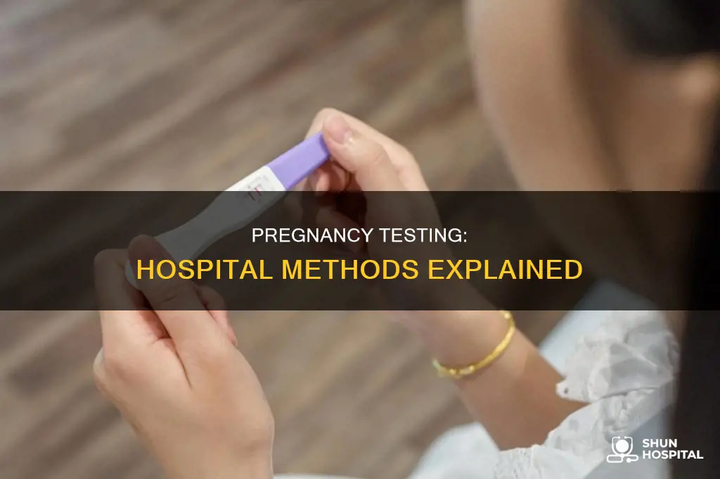 how do they test pregnancy in hospitals