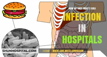 Treating E. Coli Infections: Hospital Protocols and Effective Management Strategies
