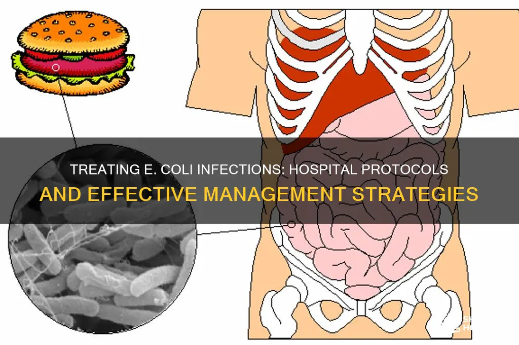 how do they treat e coli infection in hospitals